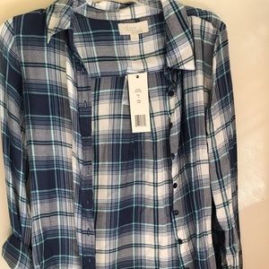 blue and white flannel